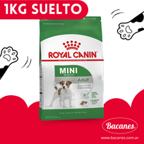 Alistate-Royal Canin