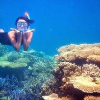Alistate-Snorkeling en Indonesia
