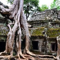 Alistate-Visita guiada - Templos Siem Reap, Cambodia