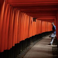 Alistate-Entradas a Fushimi Inari
