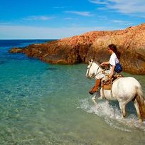 Alistate-Excursión a caballo por las playas.