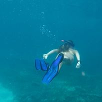 Alistate-Scuba Diving
