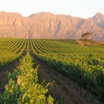 Alistate-Ruta del vino de Stellenbosch desde Ciudad del Cabo