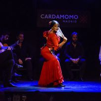 Alistate-Experiencia flamenca: recorrido a pie y taller de baile flamenco