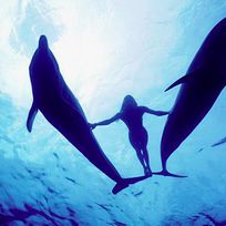 Alistate-Nadar con Delfines