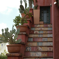 Alistate-Macetas con cactus -Terraza