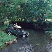 Alistate-4x4 Jeep Safari