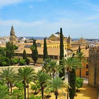 Alistate-Excursion de un dia desde Sevilla a Cordoba.