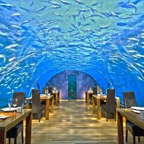 Alistate-Underwater dinner