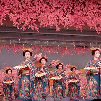 Alistate-Miyako Odori - Festival de danzas geishas