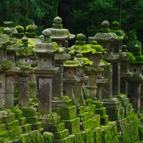 Alistate-Templo de Nara