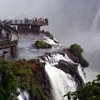 Alistate-Iguazú Forest(2 entradas incluidas)