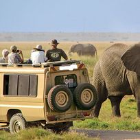 Alistate-Safari en Serengueti