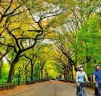 Alistate-Tour en bicicleta de Central Park