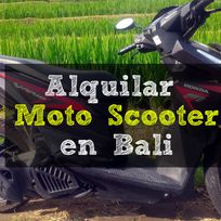 Alistate-Alquiler de moto, Bali