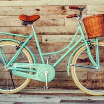 Alistate-Bicicleta Vintage