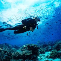 Alistate-Scuba Diving