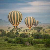 Alistate-Paseo en globo en Serengeti - Luna de Miel