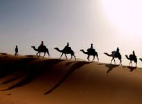 Alistate-Paseo con camellos