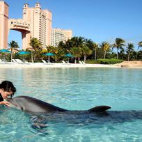 Alistate-Nado con delfines en Bahamas