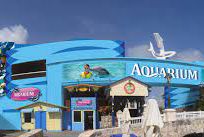 Alistate-Acuario Cancun