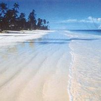 Alistate-Excursion a una playa de Zanzibar 