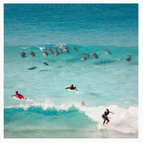 Alistate-Clases de Surf en Australia