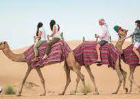 Alistate-Camel ride