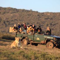 Alistate-3°Day Garden Route Tour from Cape Town with Game Drive