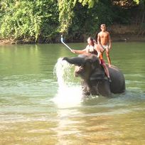 Alistate-Nadar con Elefantes