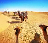 Alistate-Safari por el desierto con cena y montar en camello