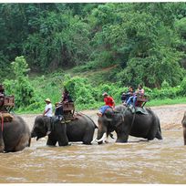 Alistate-Excursión en elefante Chiang Mai - Tailandia