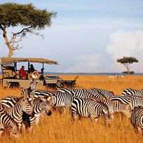 Alistate-Safari en Kenya