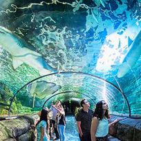 Alistate-Entradas a Sea Life Aquarium Sydney