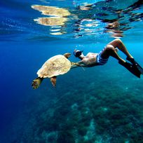Alistate-Snorkel en Bali