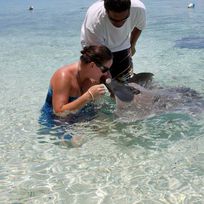 Alistate-Snorkeling and Ray Feeding Tour