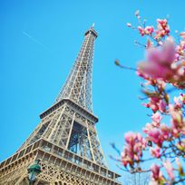 Alistate-Torre Eiffel