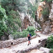 Alistate-Trekking por Palma de Mallorca