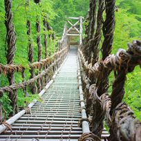 Alistate-Excursion bosque bambu