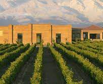 Alistate-Visita a dos viñedos en Mendoza