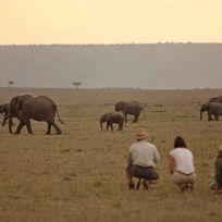 Alistate-Safari a pie en Kenya